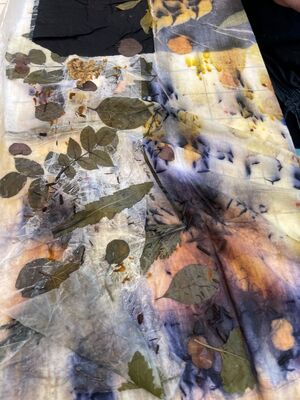 ecoprint3-web