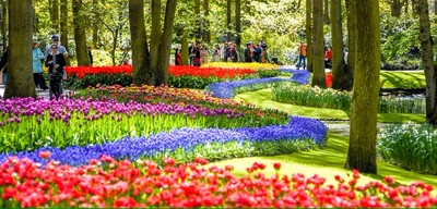 keukenhof-1