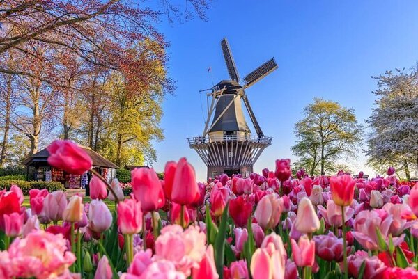 keukenhof-6