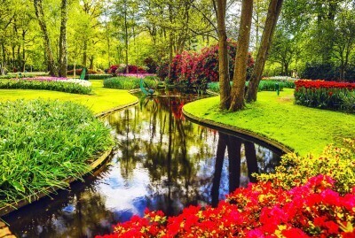 keukenhof-8